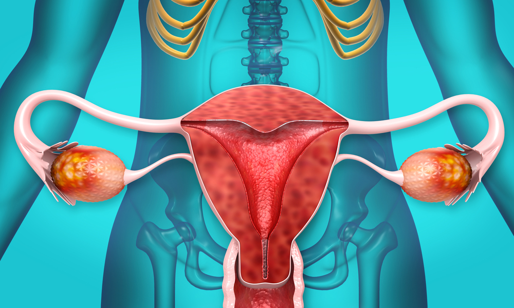 urinari dese la menopauza