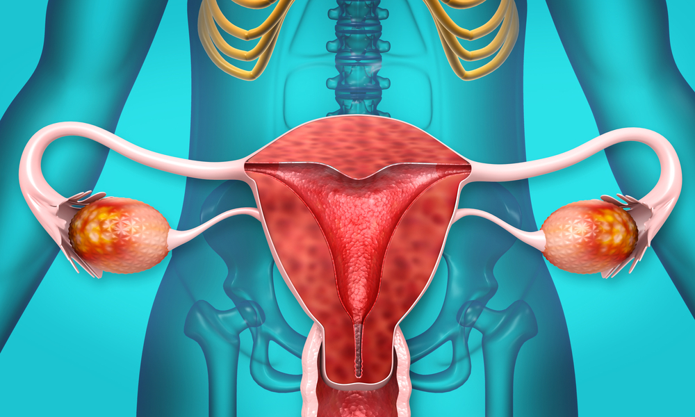 Menopauza