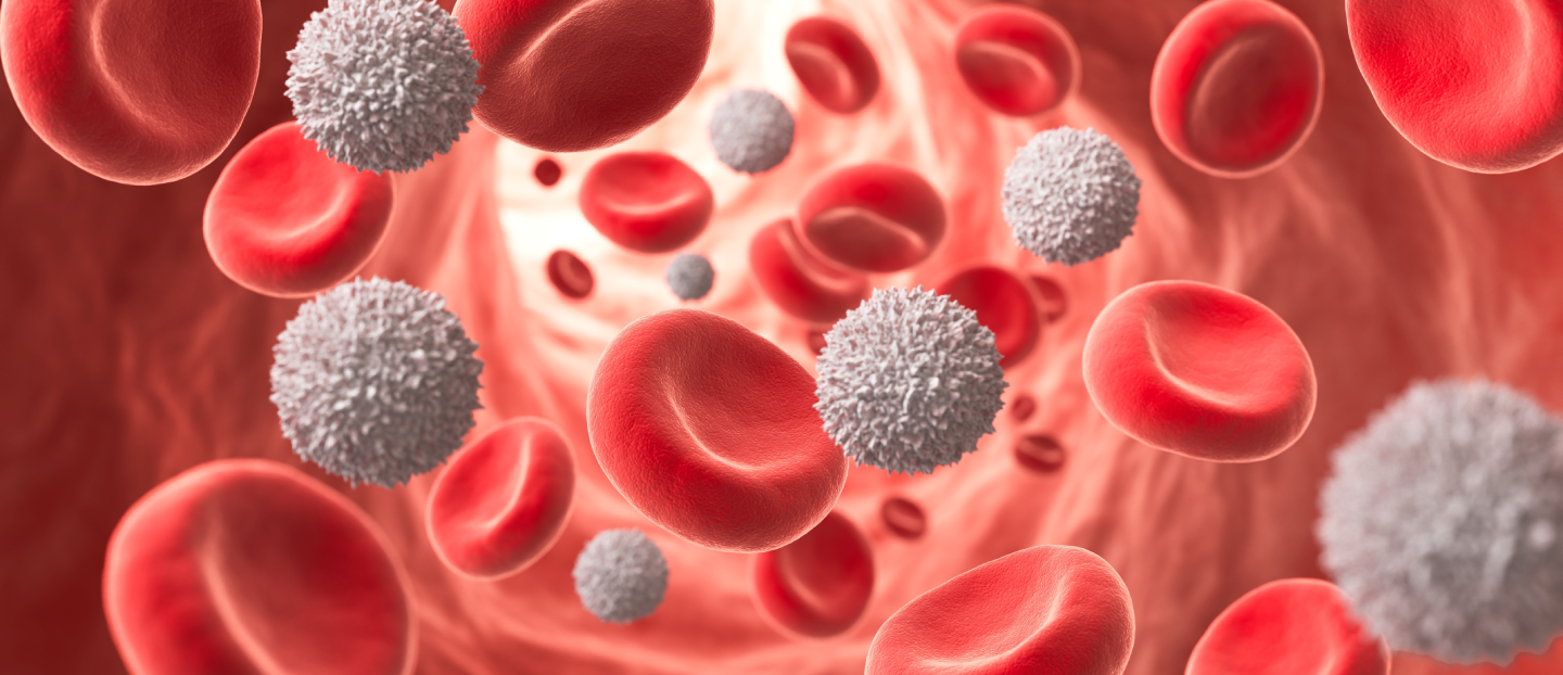 Leucocite mărite sau scăzute: simptome, cauze și tratament. Ce indică aceste valori și când sunt un semnal de alarmă?