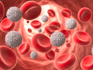 articole recomandate