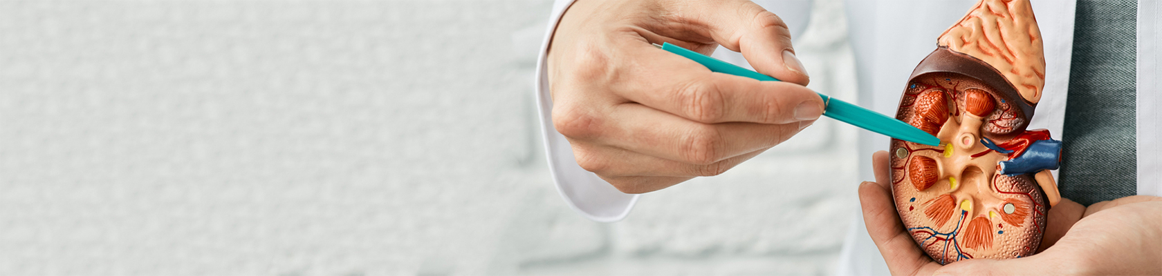 Insuficienta renala: simptome, cauze, diagnoza si tratament