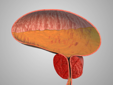 articole recomandate