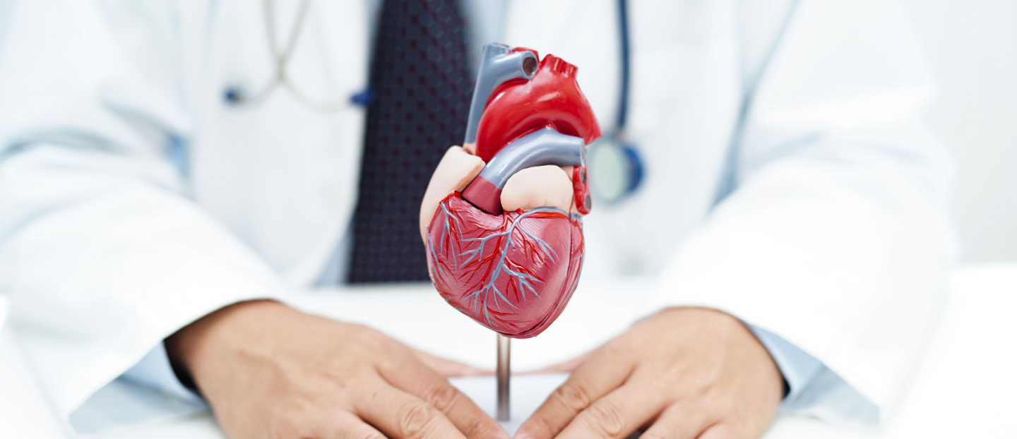 Risc cardiovascular: care sunt factorii de risc și analizele de sânge care îl evaluează complet?