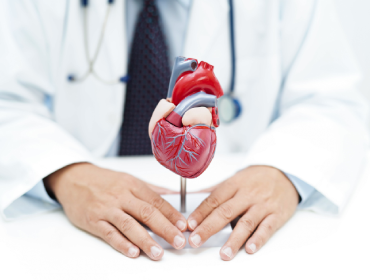 articole recomandate