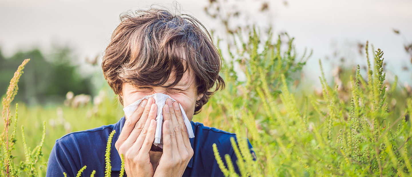 Alergia la ambrozie: cauze, simptome, tratament