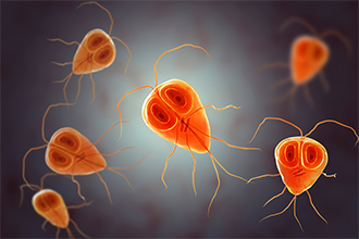 giardia-preview