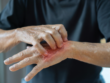 articole recomandate