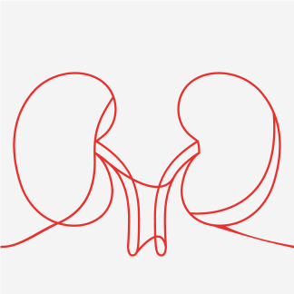 Image Alt Text