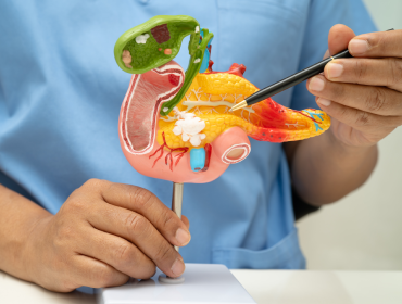 articole recomandate