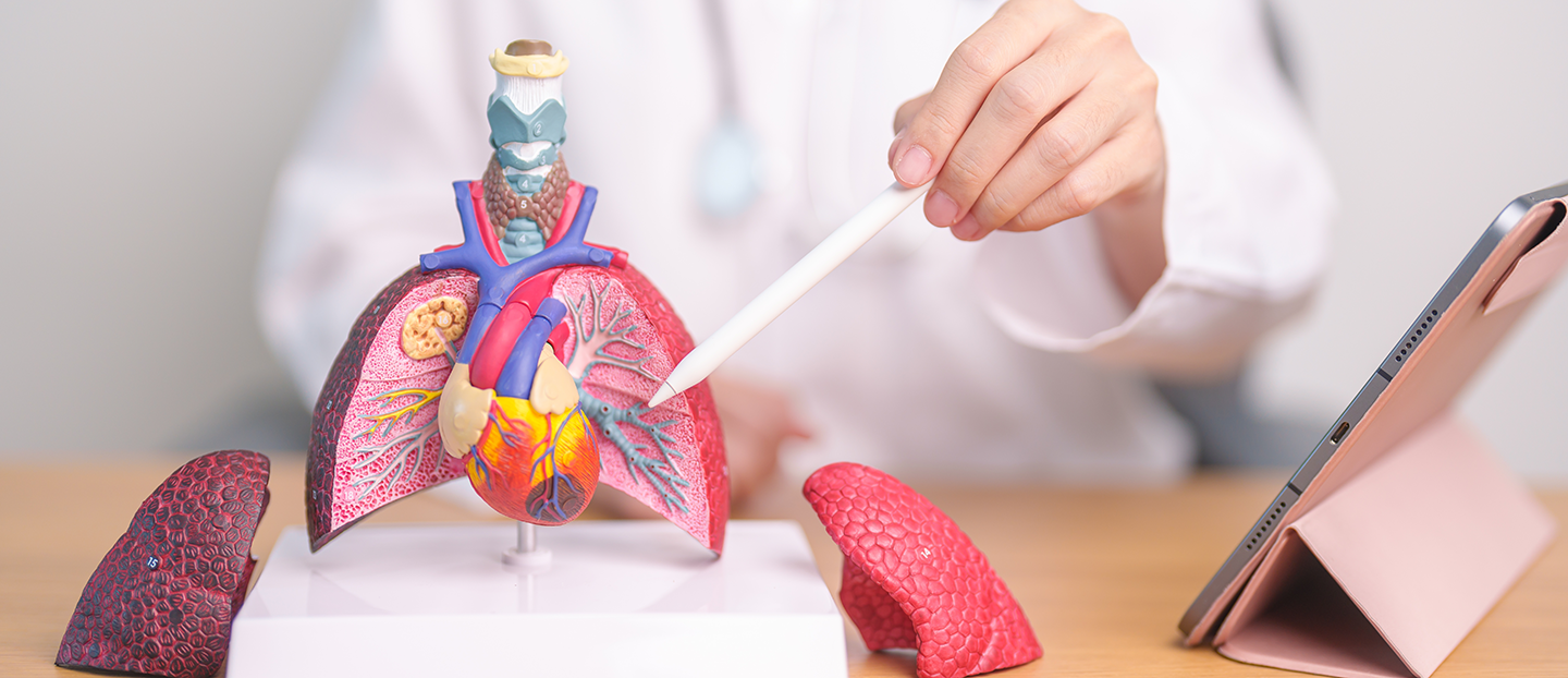 Fibroza chistică: cum debutează, semne specifice și terapii
