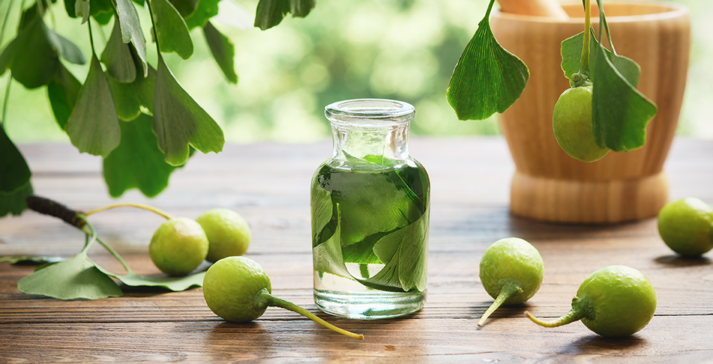 Infuzie cu frunze de Ginkgo Biloba, tinctură și extract