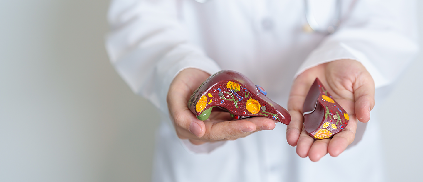 Hepatita B: transmitere, simptome, cauze, prevenție și diagnostic