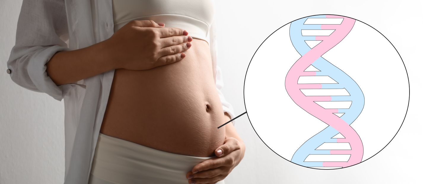 Testul NIFTY (NIPT): ghidul tău complet despre screening-ul prenatal