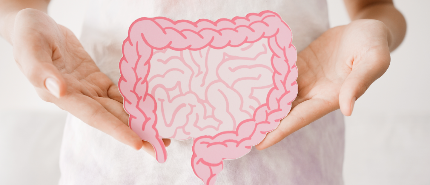 Totul despre prebiotice: ghidul tău complet pentru o sănătate intestinală optimă