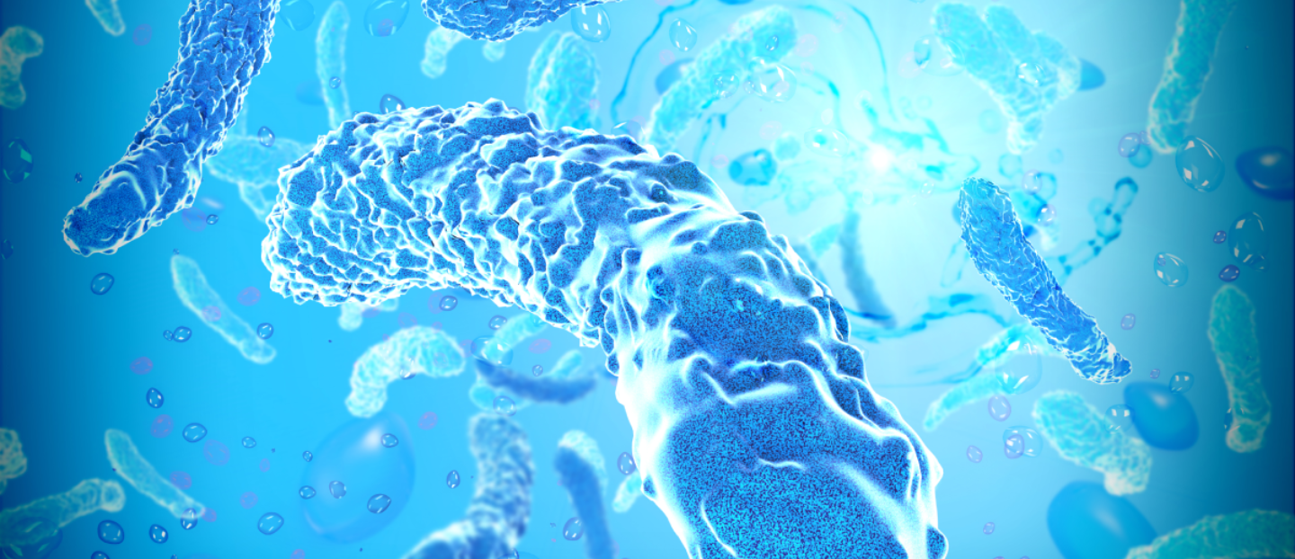 Ce este legionella și de ce este încă o amenințare pentru sănătatea publică