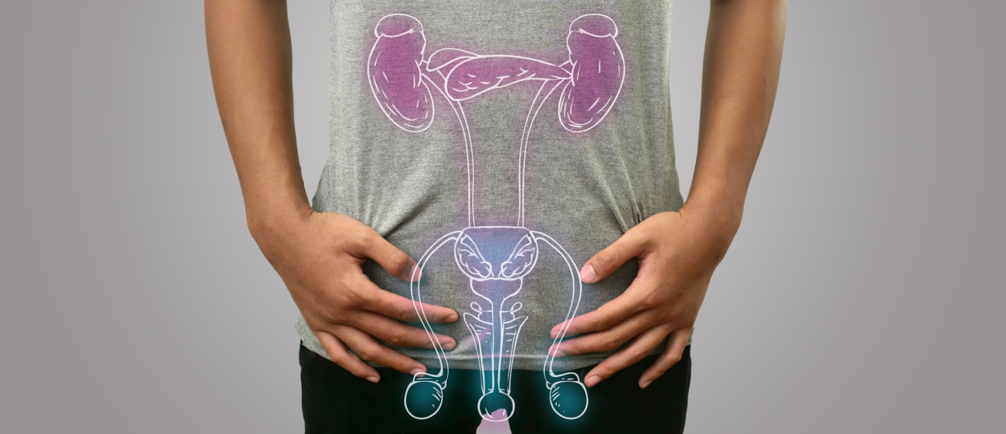 Totul despre uretră: anatomie, funcții, afecțiuni comune