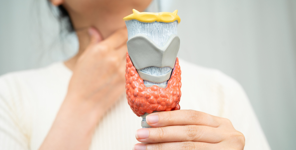 Hipertiroidismul poate suprima libidoul