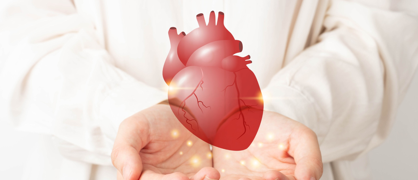 Ce este cardiomiopatia, cum se manifestă și ce opțiuni terapeutice există