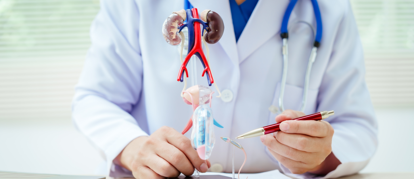 Cancer vezică urinară: tot ce trebuie să știi