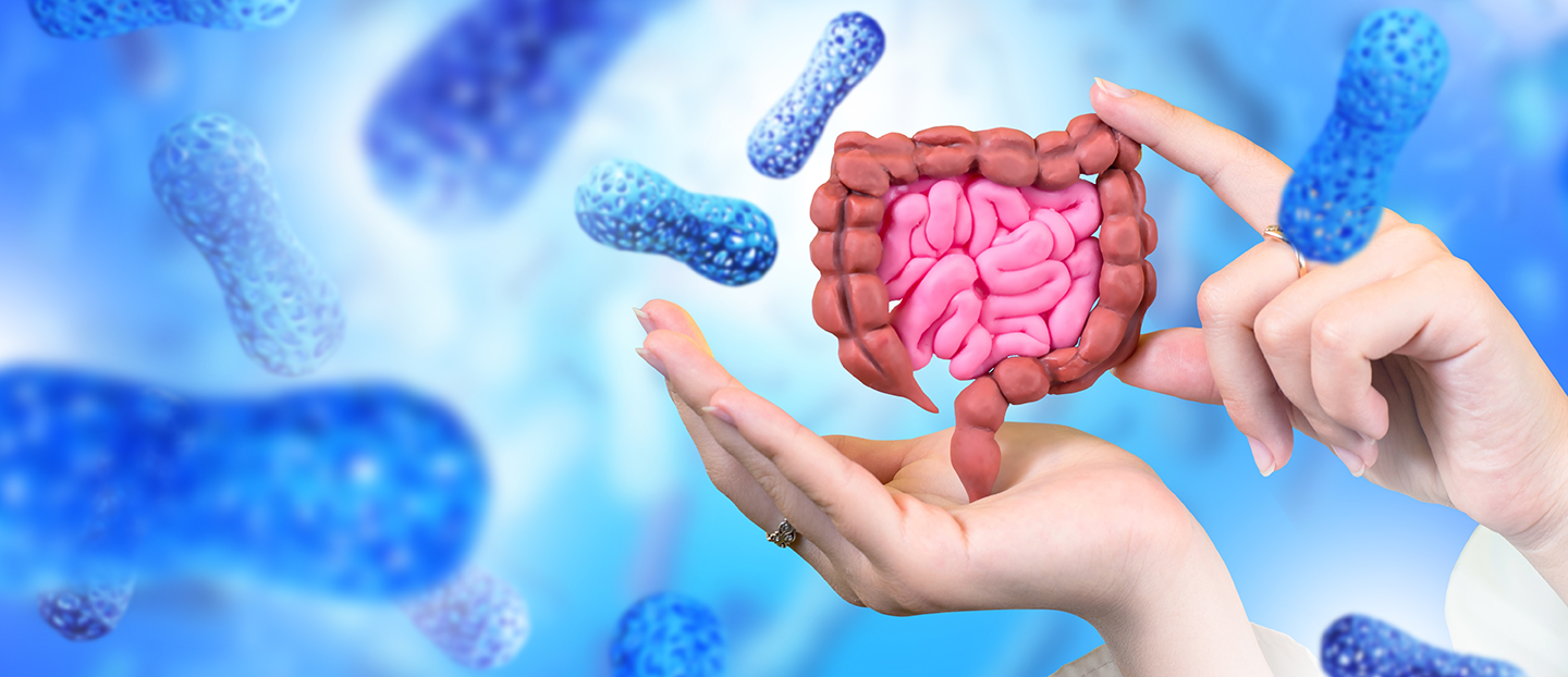 Microbiomul intestinal: ce este, rolul său în sănătate și cum îl poți evalua