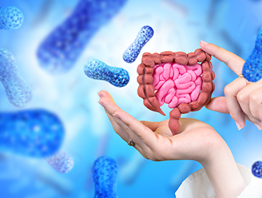 Microbiomul intestinal este esențial pentru digestie și imunitate