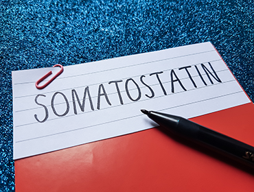 Somatostatina